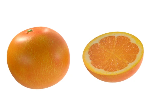 Clementine 3D Model