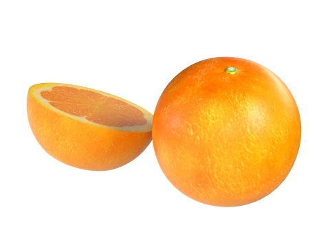Clementine 3D Model
