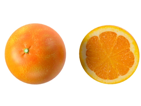Clementine 3D Model