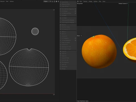Clementine 3D Model
