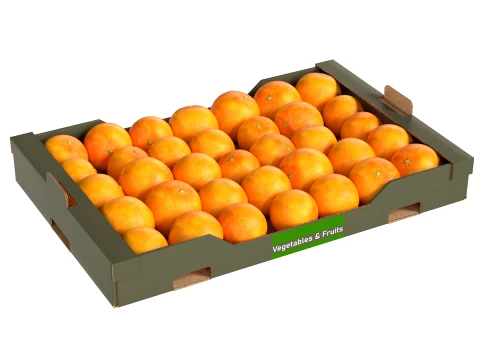 Clementinen-Obstschachtel aus Pappe 3D Modell