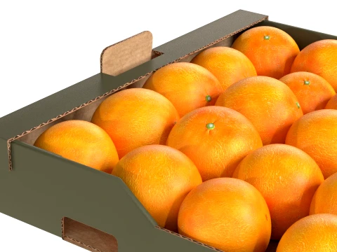 Clementine Cardboard Fruit Box 3D Model