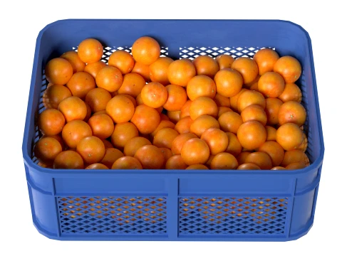 Clementine Plastic Crate 3D Model
