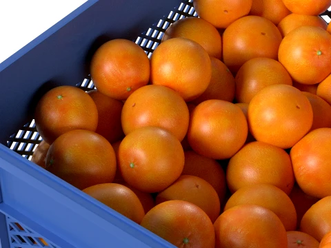 Clementine Plastic Crate 3D Model