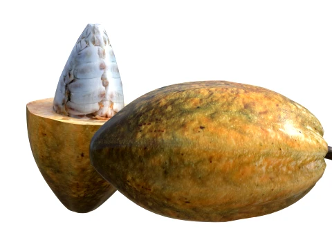 Cacau Modelo 3D