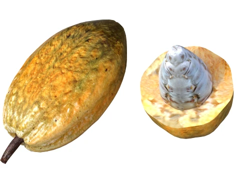 Cacau Modelo 3D