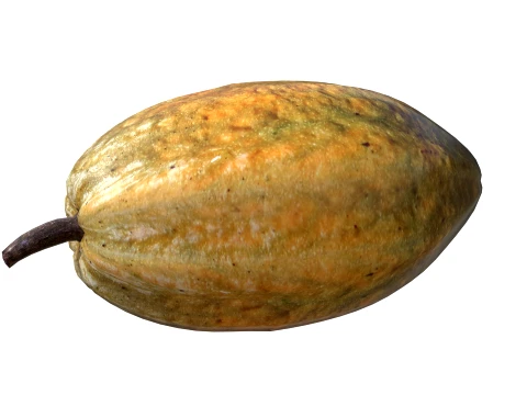 Cacau Modelo 3D