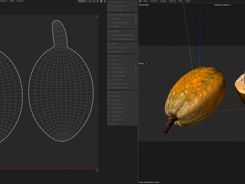 Cacau Modelo 3D