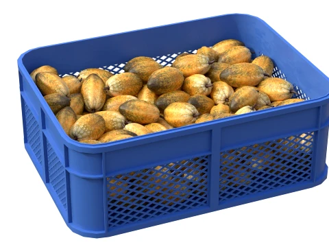 Cocoa Fruit Plastic Crate 3D Model