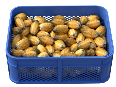 Cocoa Fruit Plastic Crate 3D Model