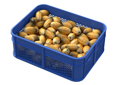 Cocoa Fruit Plastic Crate 3D Model