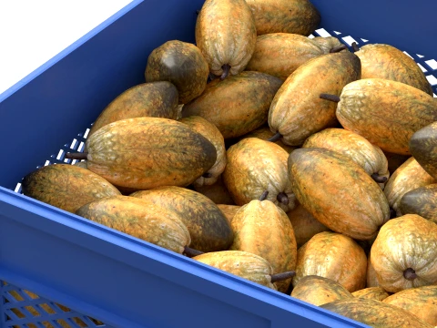 Cocoa Fruit Plastic Crate 3D Model