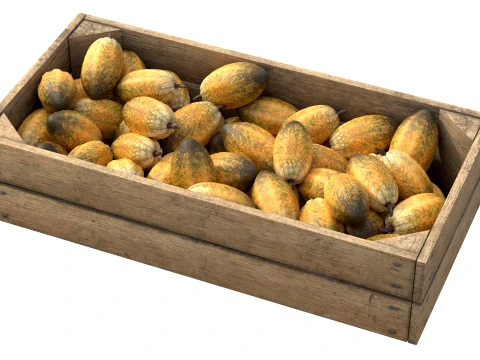 Cocoa Fruit Wooden Crate 3D Model