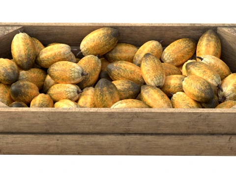 Cocoa Fruit Wooden Crate 3D Model