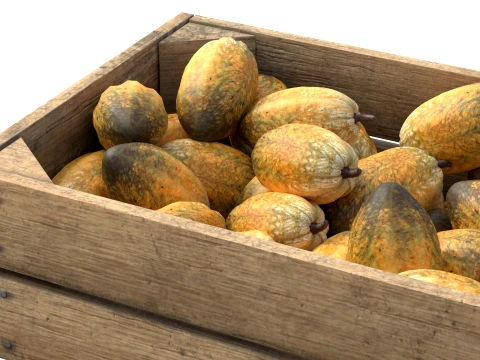Cocoa Fruit Wooden Crate 3D Model