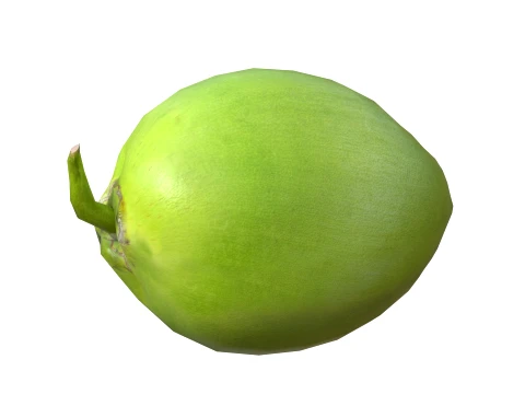 Coco Verde Modelo 3D