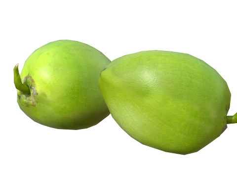 Coco Verde Modelo 3D