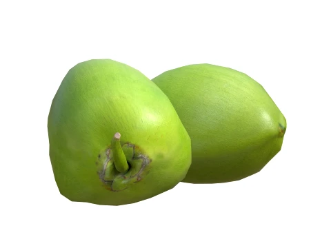 Coco Verde Modelo 3D