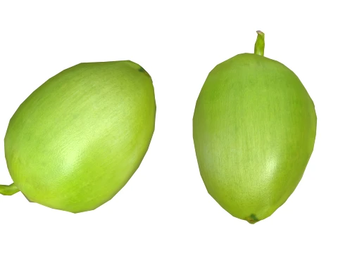 Coco Verde Modelo 3D