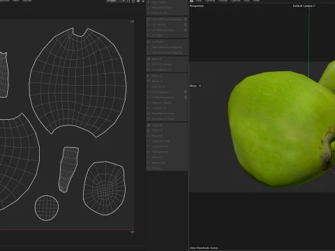 Coco Verde Modelo 3D