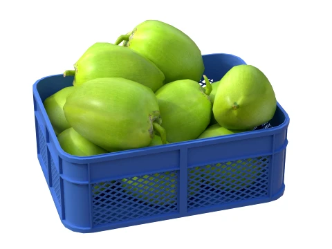 Coconut Green Plastic Crate 3D Model