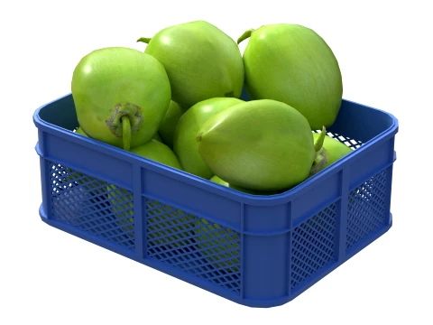 Coconut Green Plastic Crate 3D Model