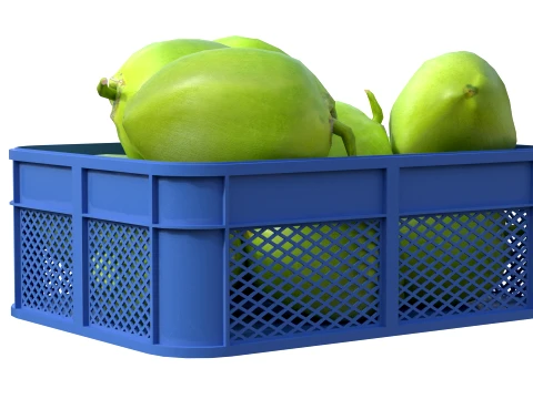 Coconut Green Plastic Crate 3D Model