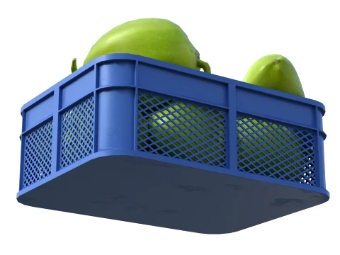Coconut Green Plastic Crate 3D Model