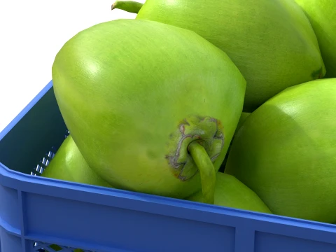 Coconut Green Plastic Crate 3D Model
