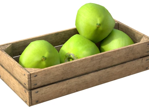 Caja de madera verde coco Modelo 3D
