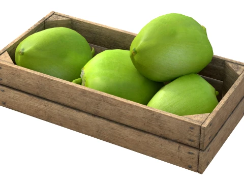 Coconut Green Wooden Crate 3D Model