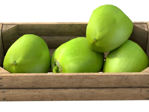 Coconut Green Wooden Crate 3D Model