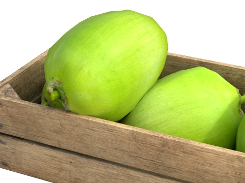 Coconut Green Wooden Crate 3D Model