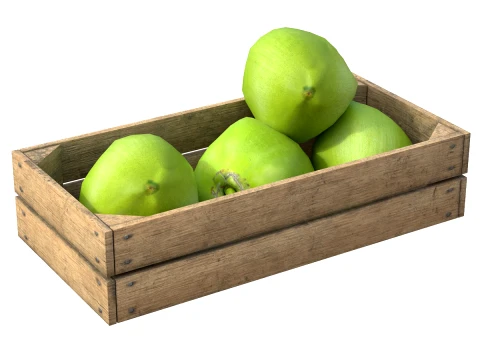 Coconut Green Wooden Crate 3D Model