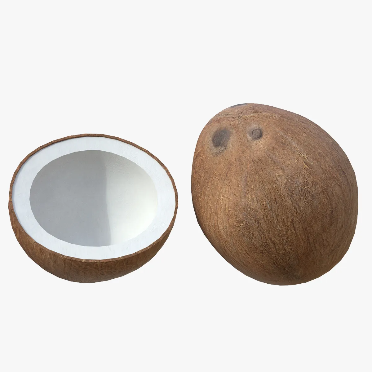 Coconut Inner 3D Model .c4d .max .obj .3ds .fbx .stl .blend 