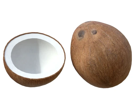 Interior de coco Modelo 3D