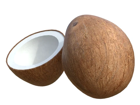 Coconut Inner 3D Model