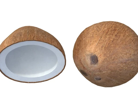 Coconut Inner 3D Model