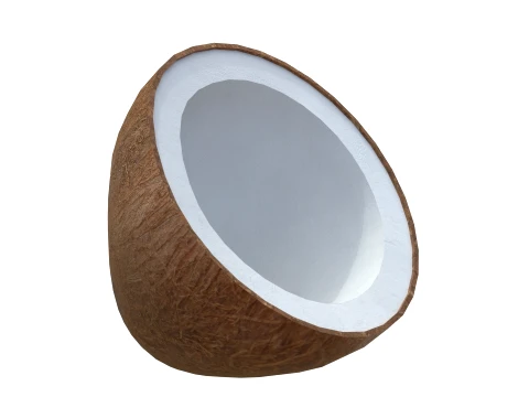 Coconut Inner 3D Model