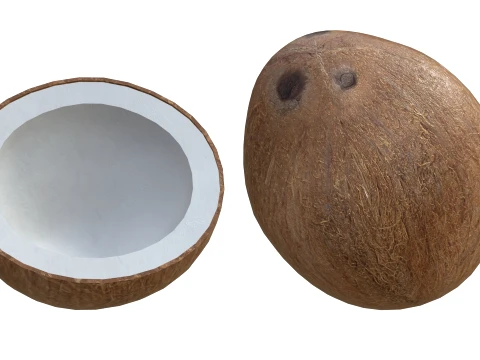 Coconut Inner 3D Model
