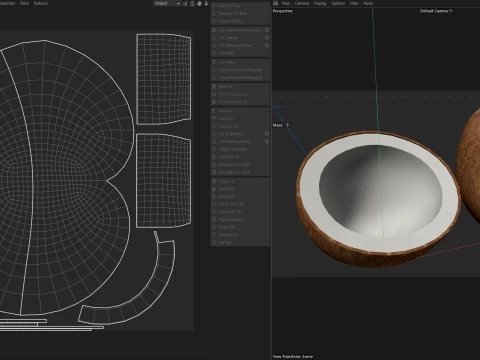 Coconut Inner 3D Model