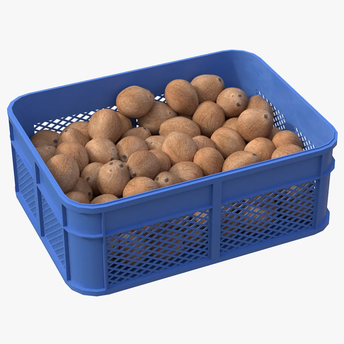 Coconut Inner Plastic Crate 3D Model .c4d .max .obj .3ds .fbx .stl .blend 