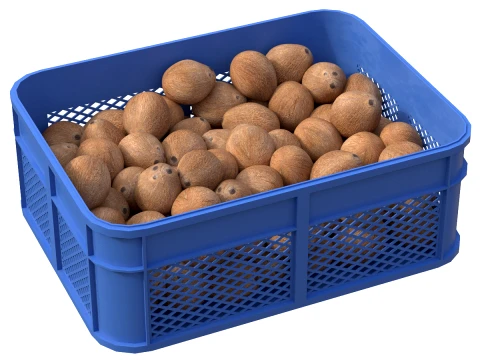 Caja de plástico interior de coco Modelo 3D