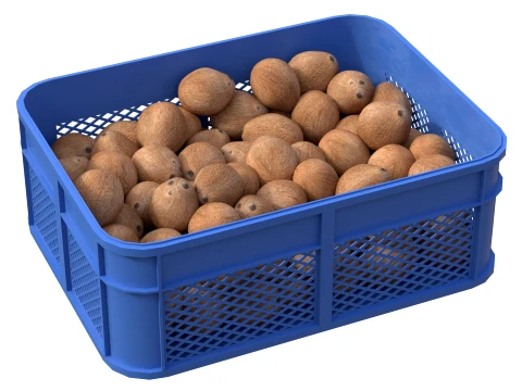 Coconut Inner Plastic Crate 3D Model