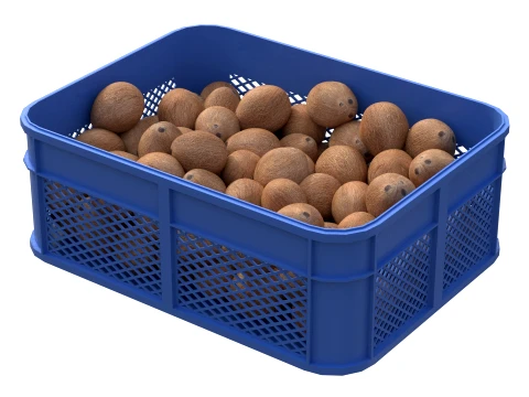 Coconut Inner Plastic Crate 3D Model