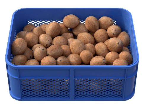 Coconut Inner Plastic Crate 3D Model