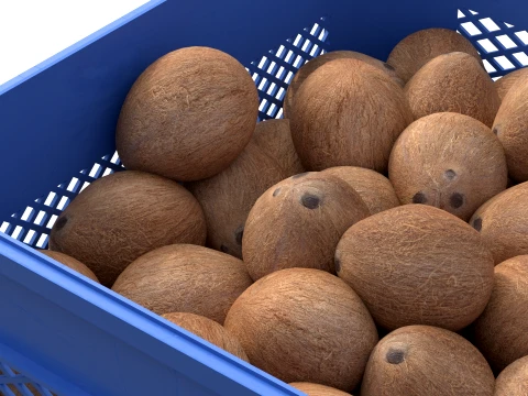 Coconut Inner Plastic Crate 3D Model