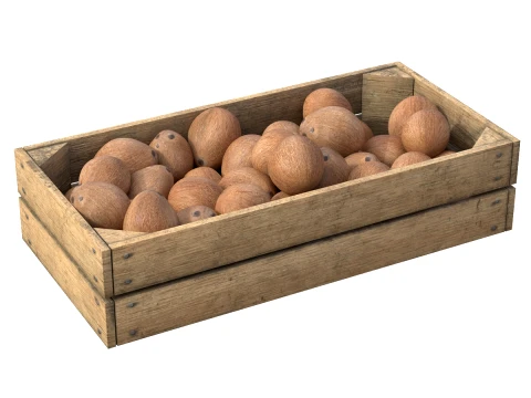 Caja interior de madera de coco Modelo 3D