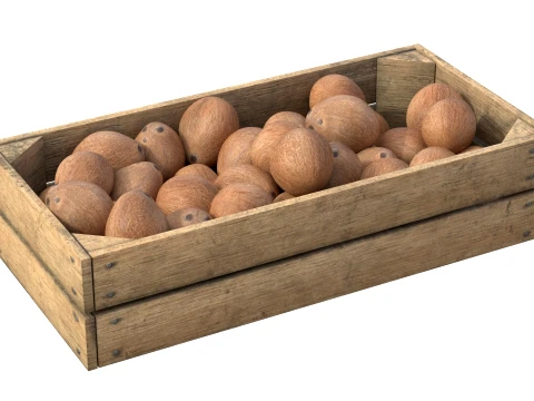 Coconut Inner Wooden Crate 3D Model