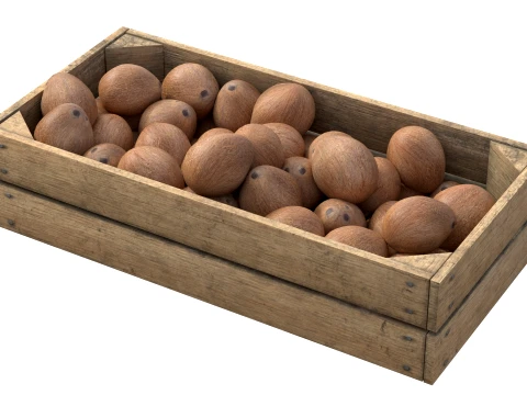 Coconut Inner Wooden Crate 3D Model
